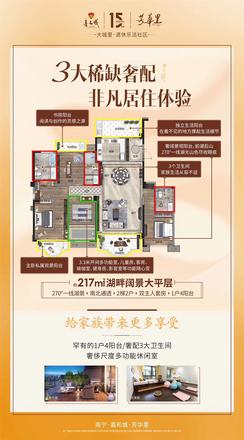 217户型价值系列海报 