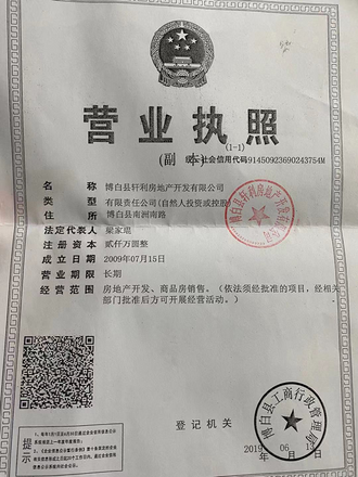 项目营业执照