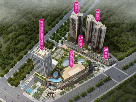 项目效果图