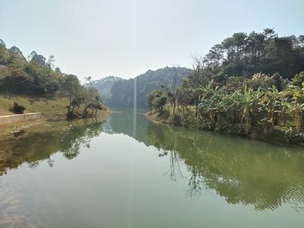 项目实景图