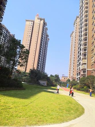 	项目实景图