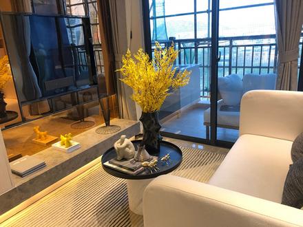 复式公寓样板间实景(小)