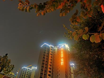 碧桂园悦府实景图