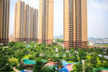 实景图