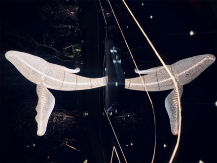 碧桂园星悦湾实景图