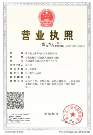 博白县力源房地产开发有限公司营业执照副本.jpg