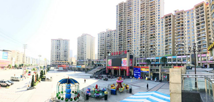 实景图