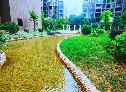 实景图