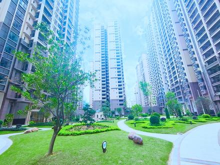 实景图