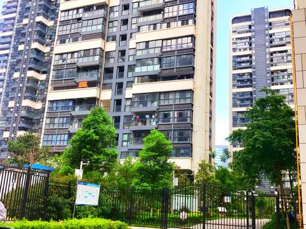 科瑞江韵实景图
