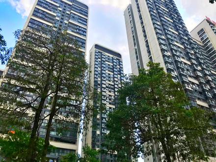 科瑞江韵实景图