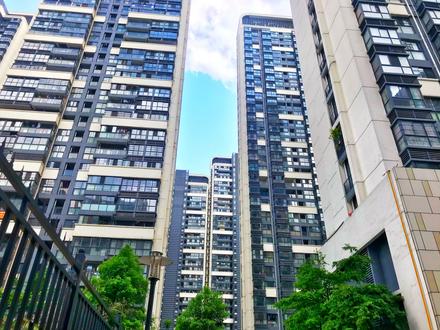 科瑞江韵实景图