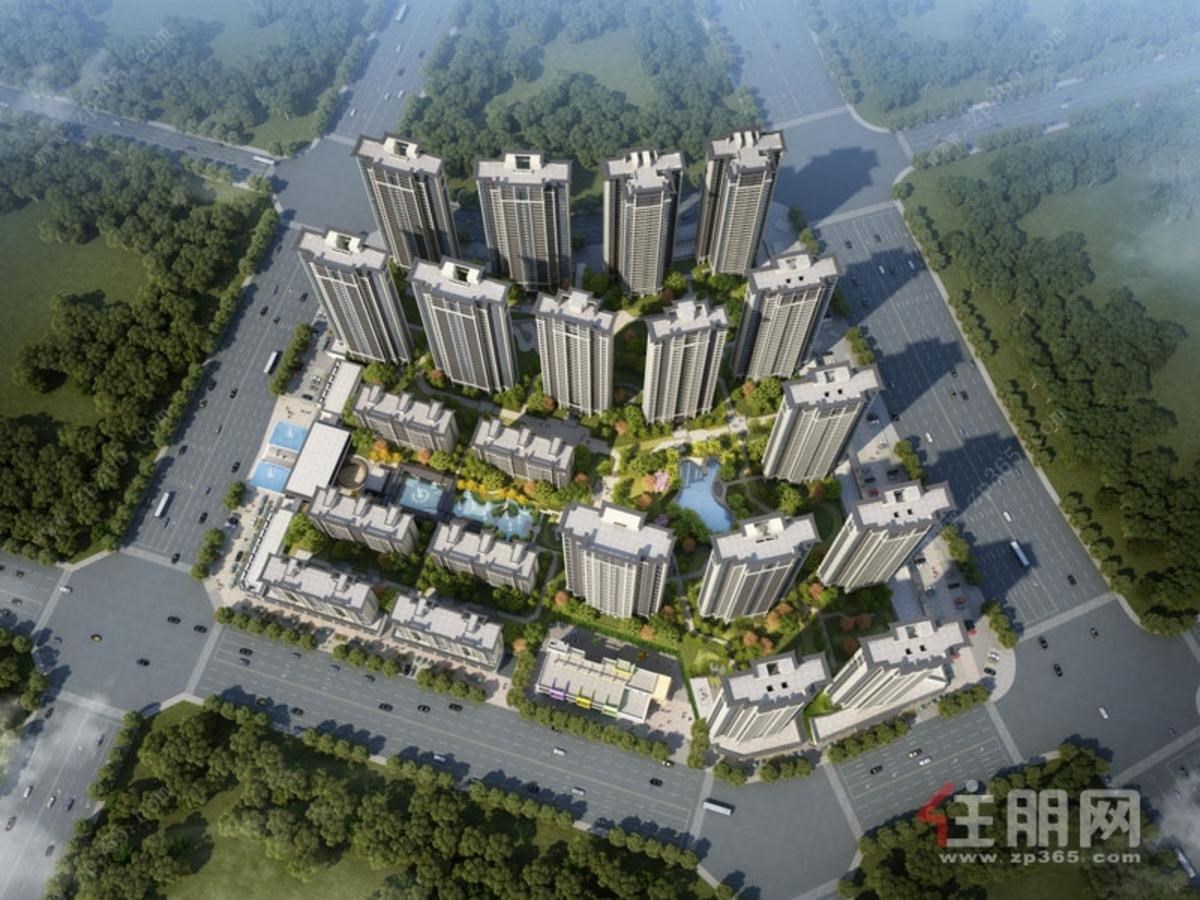 项目效果图