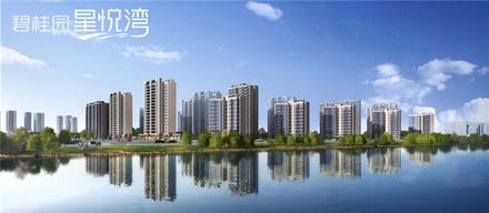 碧桂园星悦湾效果图