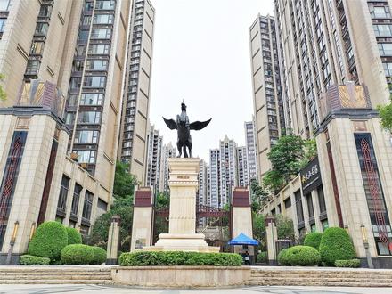 实景图