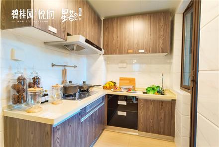 碧桂园悦府样板房