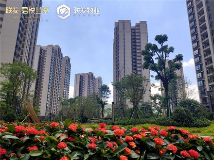 联发君悦兰亭实景图