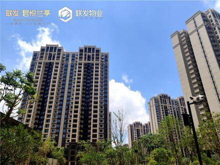 联发君悦兰亭实景图