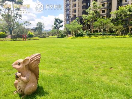 联发君悦兰亭实景图