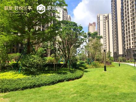 联发君悦兰亭实景图