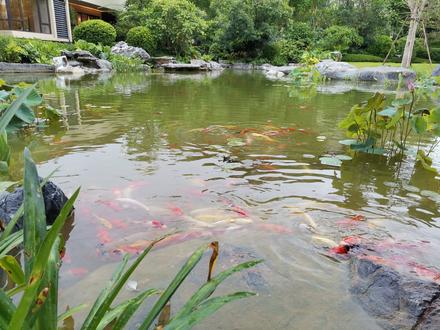 园林示范图