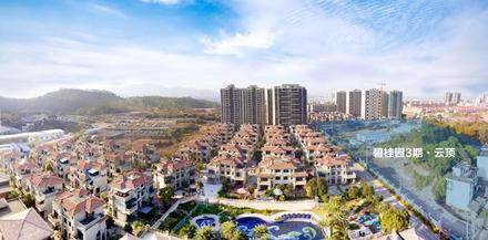 实景图