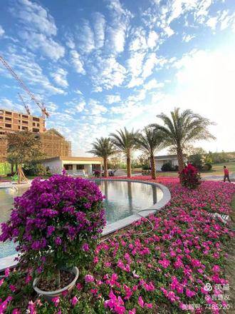 营销中心实景图