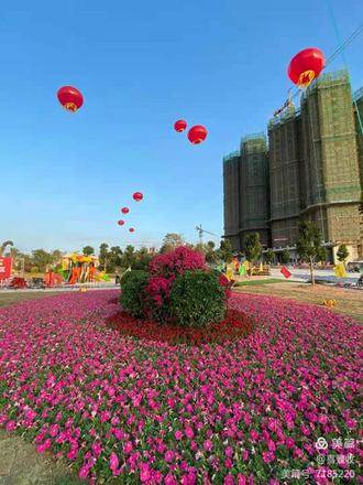 营销中心实景图