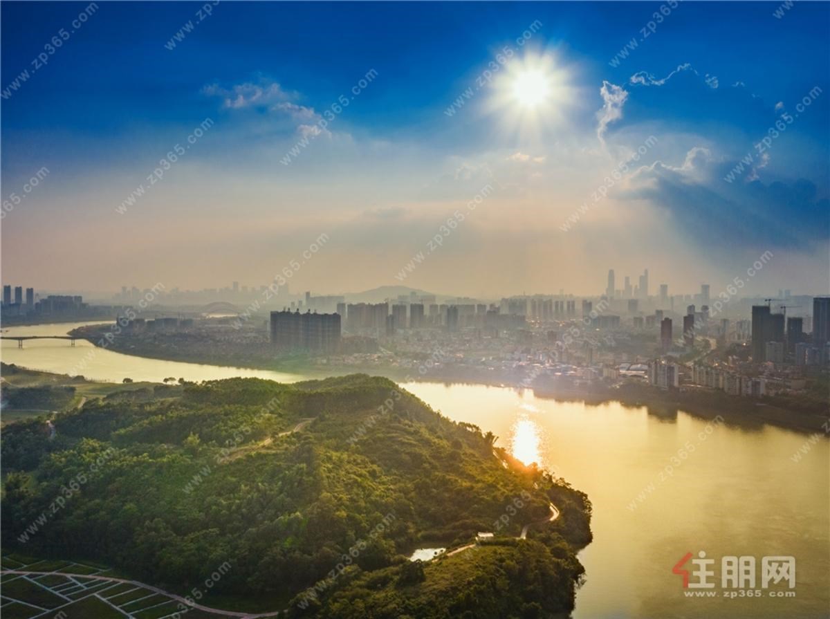 金科博翠天宸周边图 