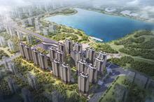 鸟瞰图.jpg
