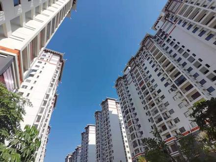 项目实景图