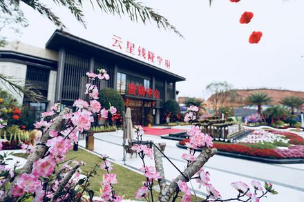 售楼部2.jpg