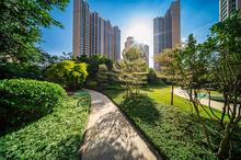 项目实景图