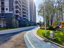 书香世家实景图5.jpg