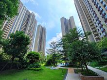 园林实景图