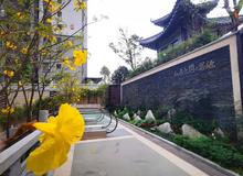 小区实景
