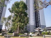小区实景