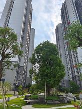 小区实景