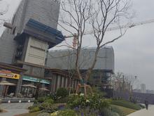 邦泰悦九章沙盘实景2