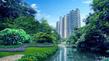 园林实景图