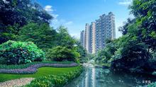 园林实景图