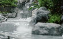 园林实景4