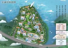 平面图