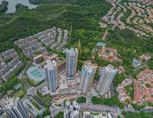 实景图