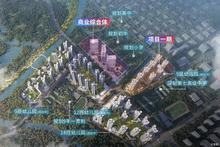 效果图5