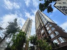 豪景中环国际花园实景图04