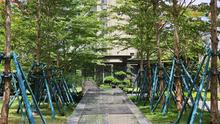 邕府朱槿园实景图05
