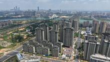 实景图