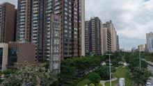 实景图