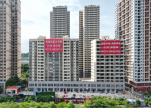 南金青江郡实景图